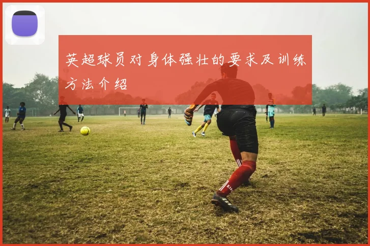 英超球员对身体强壮的要求及训练方法介绍