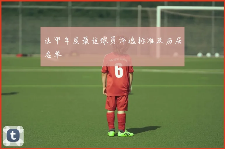 法甲年度最佳球员评选标准及历届名单