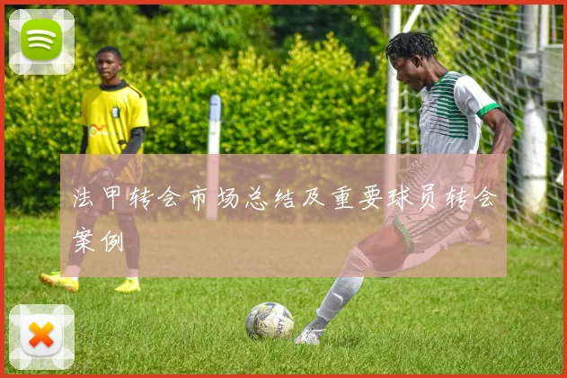 法甲转会市场总结及重要球员转会案例
