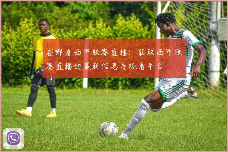 在哪看西甲联赛直播：获取西甲联赛直播的最新信息与观看平台