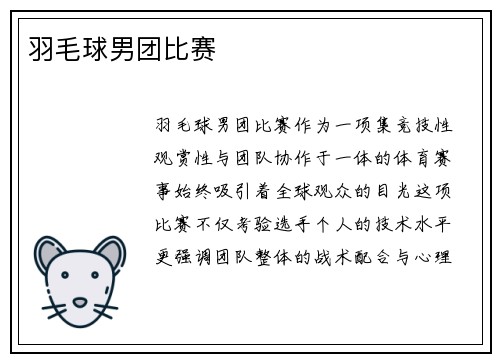 羽毛球男团比赛